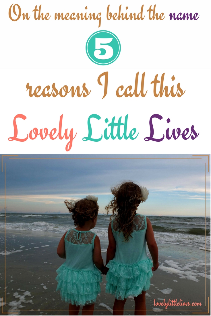  On the Meaning Behind the Name- 5 reasons I call this -Lovely Little Lives