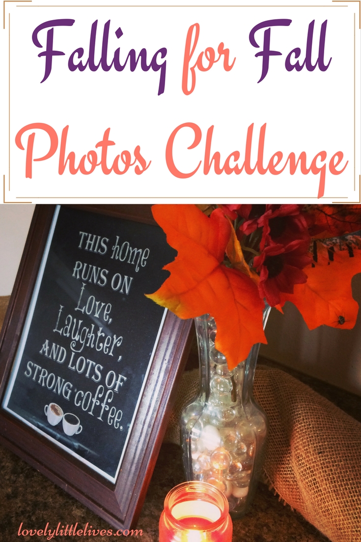 Fall for fall photo Challenge