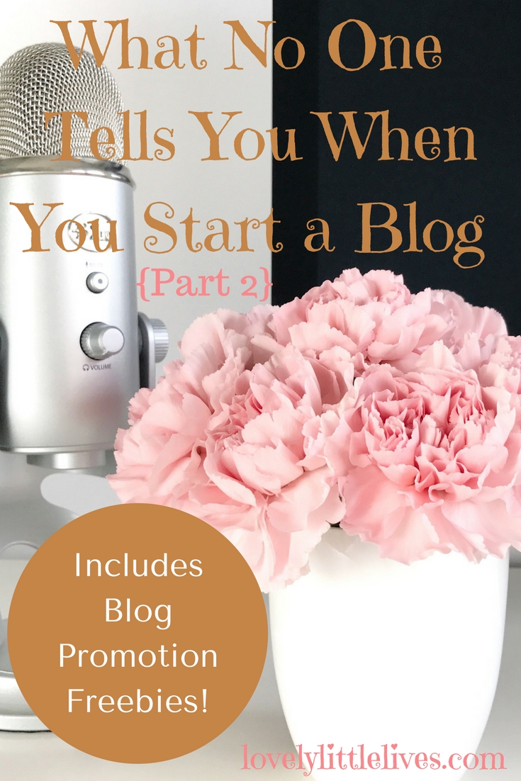 What no one tells you when you start a blog part 2