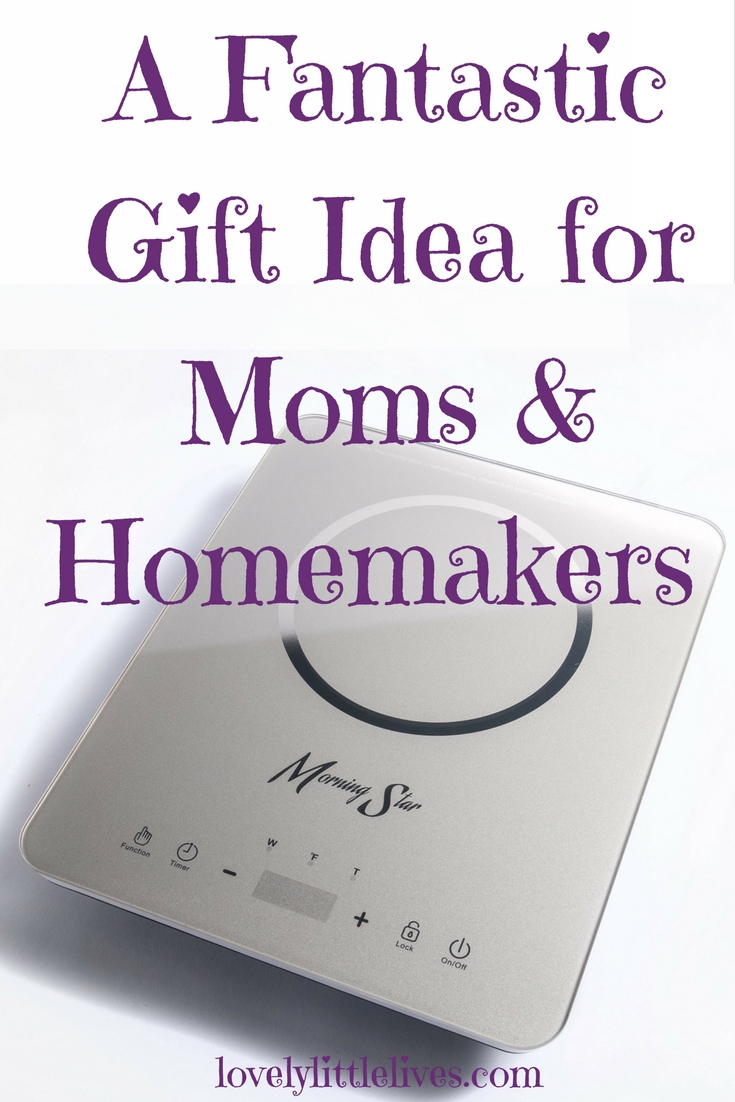 A fantastic gift idea for moms and homemakers