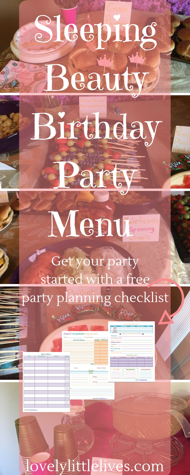  Sleeping Beauty Birthday Party Menu #princesspartyfood #sleepingbeautypartymenu #sleepingbeautyfoodideas #princessparties #sleepingbeautybirthdayparty #princessauroraparty #disneyprincessparty