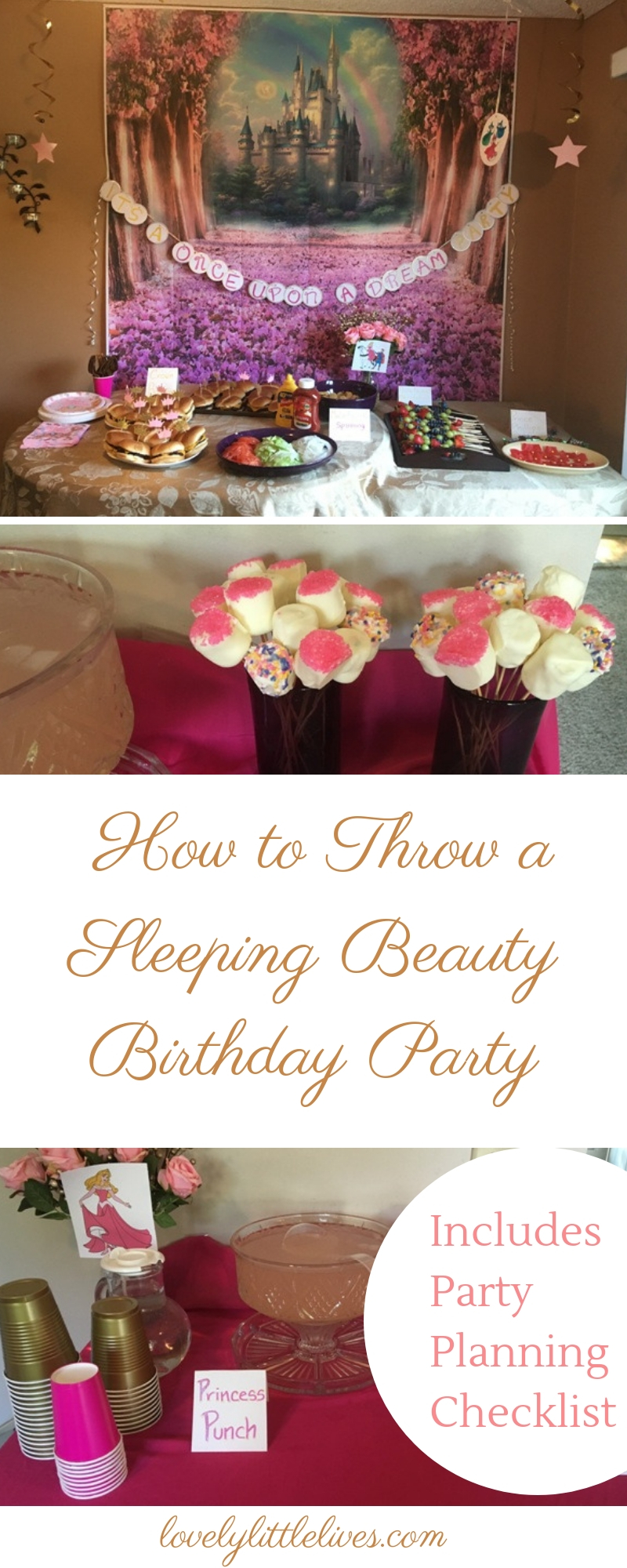 How to Throw a Lovely Sleeping Beauty Birthday Party #princessparties #sleepingbeautybirthdayparty #princessauroraparty #disneyprincessparty